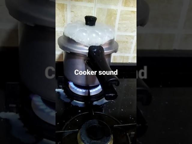 cooker whistle sound