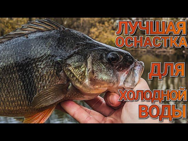 Топ оснастка для осени ловит трофеи | Narval Fishing Poker 762L + JigRig | Как ловить окуня осенью