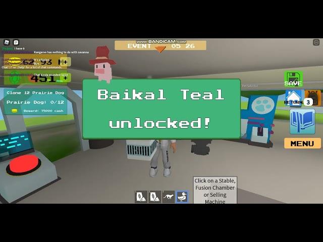 How to get baikal Teal