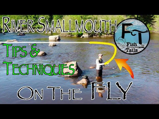 Fly Fish River Smallmouth Bass: Successful fishing tips, techniques, tactics using poppers streamers