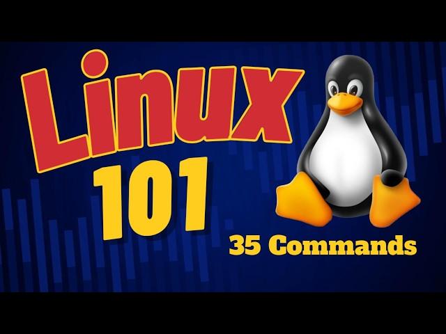 The 35 Most Popular Linux & Terminal Commands - Full Course