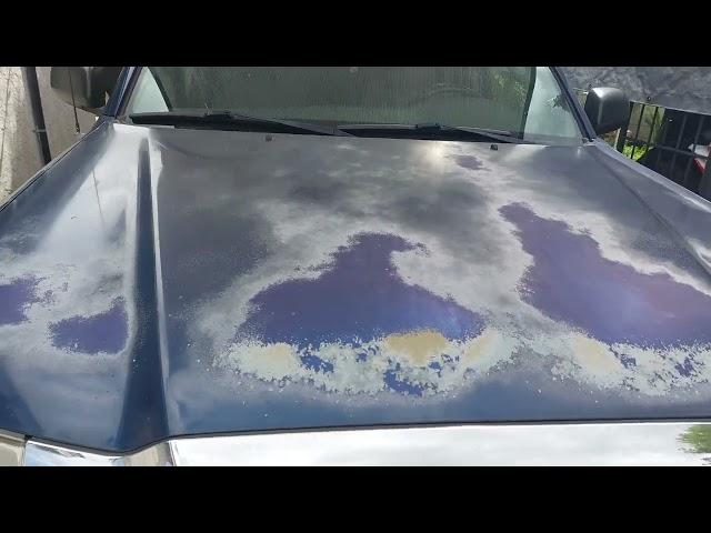 Sun-Damaged Automotive Paint