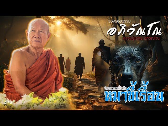 EP2  ร่องรอยธรรมอภิวัณโณ หลวงปู่เฉลิม อภิวัณโณ  ตอนที2 วิบากกรรมที่ทำกับหมาขี้เรื้อน