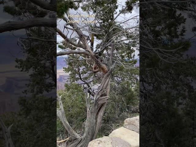 Hermit's Rest Grand Canyon