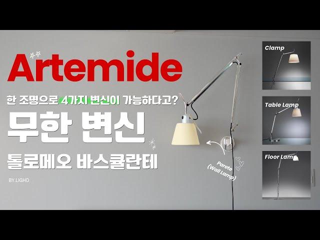 아르떼미데 톨로메오 바스큘란테의 모든것