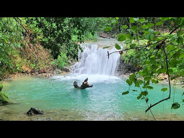 Anthony Spearfishing Ja is live! River Vibes