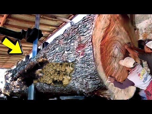 Misleading Saw, Surprising Discovery In This Hardwood || Sawmill