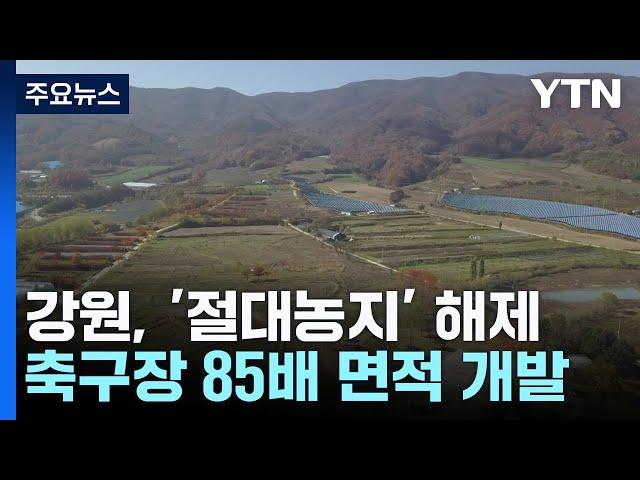 '농사만 지을 수 있던 땅' 축구장 85배 면적 해제 / YTN