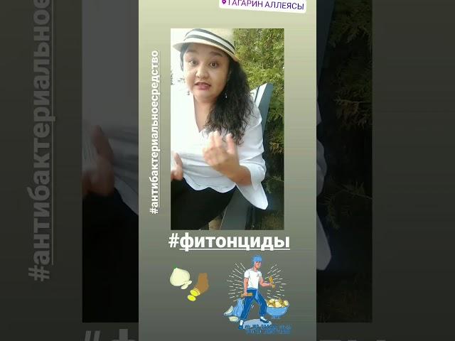 Фитонциды #иммуномодулятор #иммуностимулятор