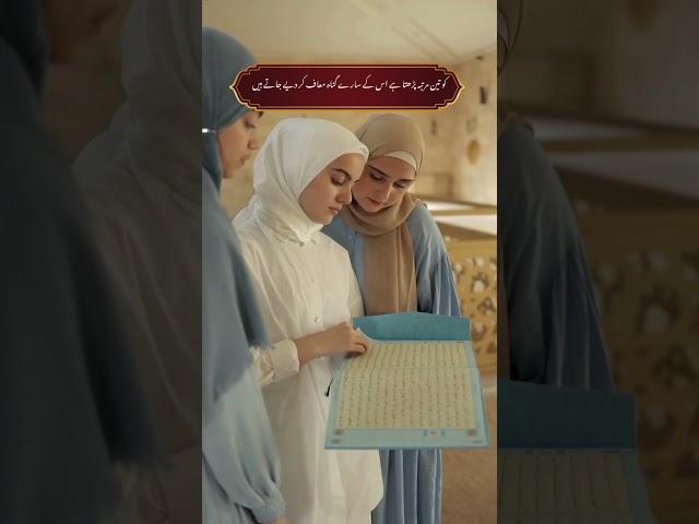 #seemore #viralvideo