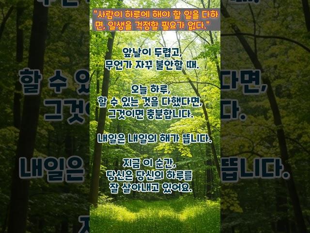 #지혜의길 #부처님말씀 #명상 #마음의평화 #지혜의길 #명언 #마음의소리로쓰는글