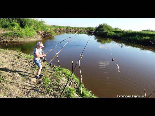 С семьей на рыбалку. Запекаем на углях  свежую рыбу.