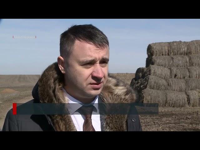 Семейная молочная ферма в Тацинском районе