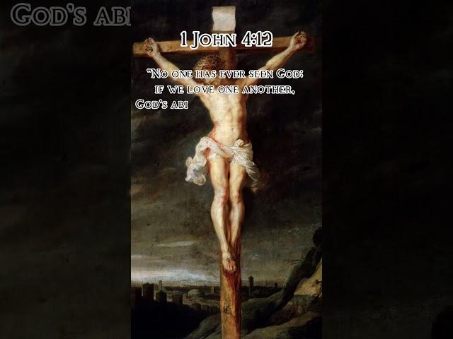 Daily Bible Verse #christianity #gospel #verse