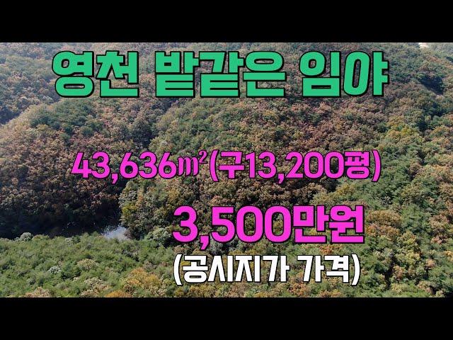 영천임야-영천부동산