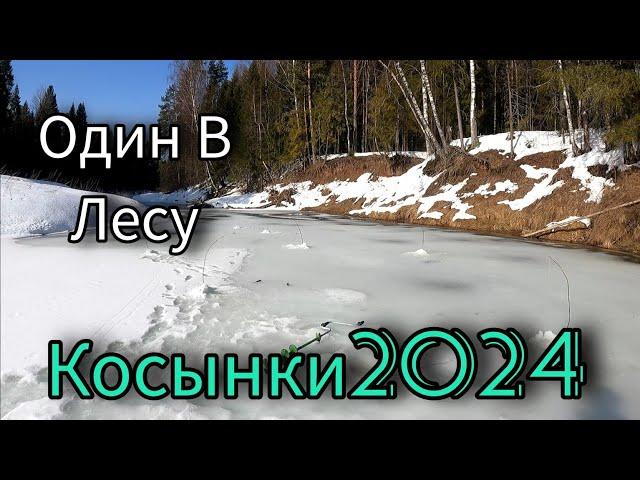 ПОСЛЕДНИЙ ЛЁД. ПЕРЕСТАВИЛ КОСЫНКИ И ДЕЛО ПОШЛО. ОДИН В ЛЕСУ. ВЕСНА 2024