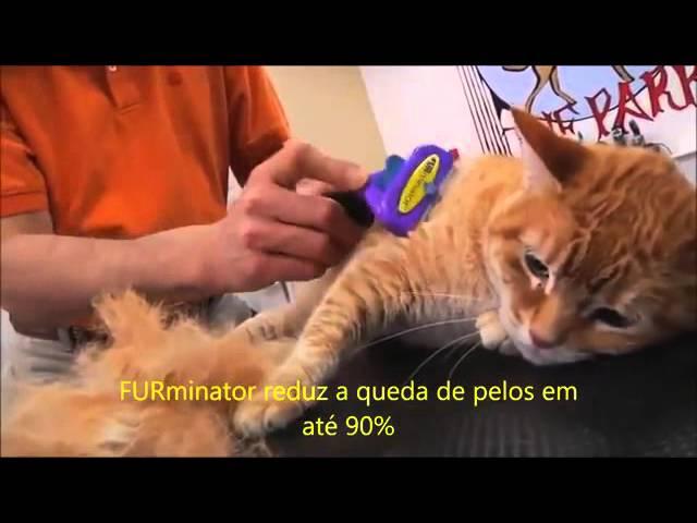 Spectrum Brands - Furminator em ação