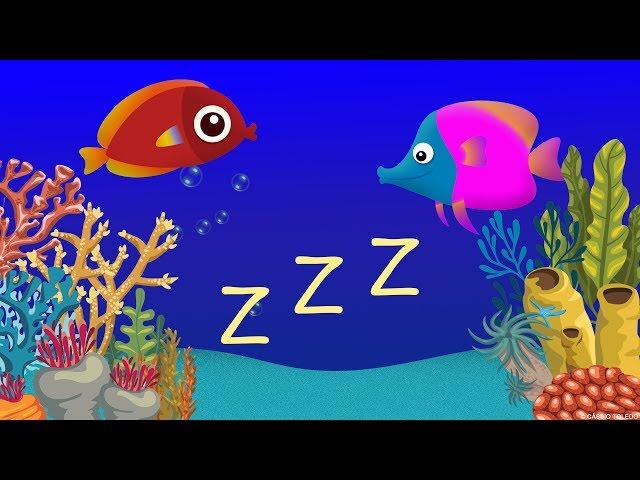 Música para Dormir Bebés y Animación Relajante de Peces