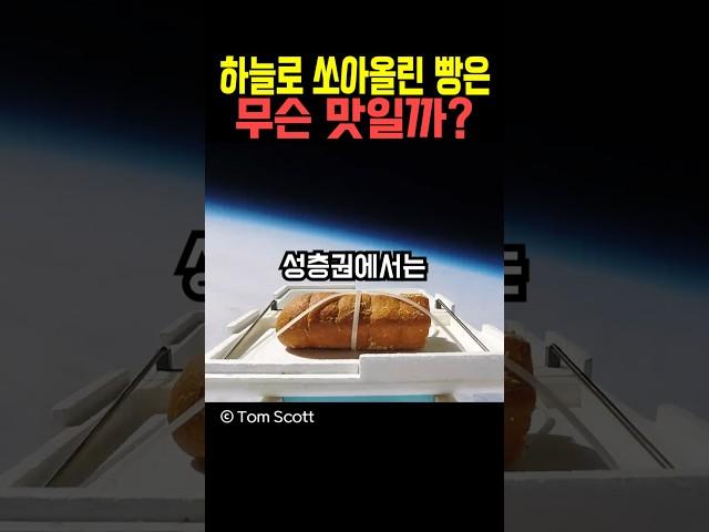 하늘로 쏘아올린 빵은 무슨 맛일까?