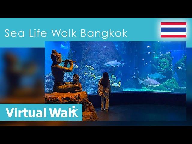 Virtual Walk SEA LIFE  Aquarium and Ocean World - Siam Paragon in Bangkok   Thailand