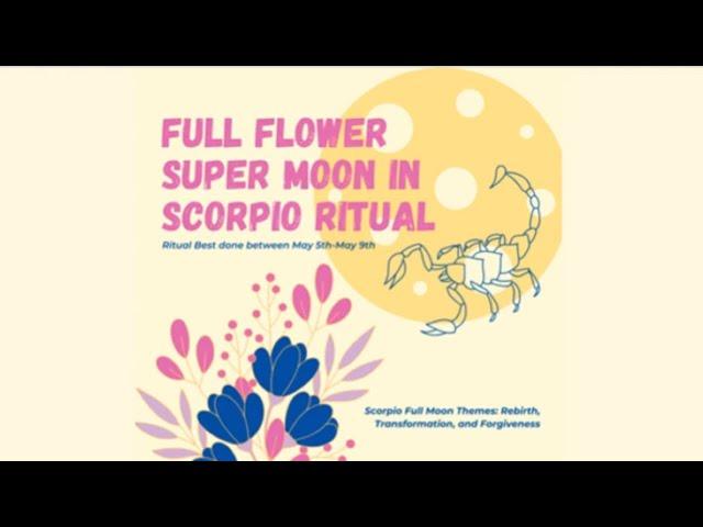 Full Flower Super Moon In Scorpio Ritual with Babs Cheung | Haley Findlay