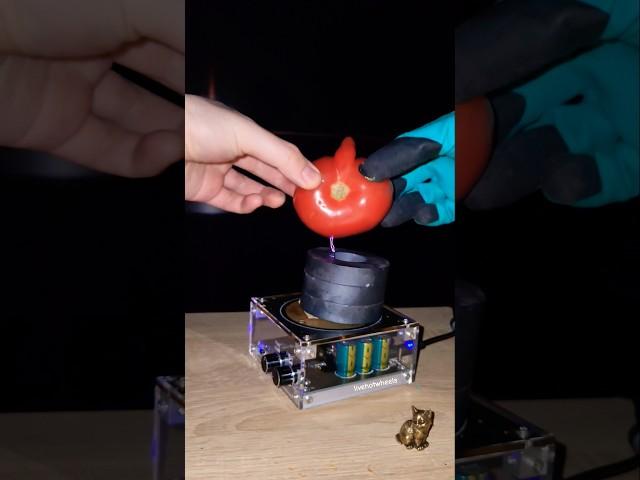  Electricity: huge magnets + unique tomatoe #experiment #vegetables #teslacoil