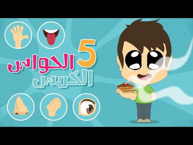 The Five Senses in Arabic for Kids – Learn the five senses in Arabic with Zakaria