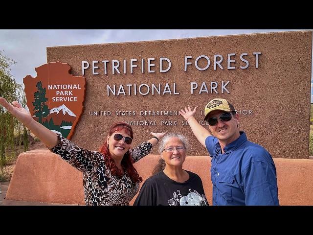 Exploring Arizona’s Ancient History: Walnut Canyon & Petrified Forest National Park Travel Guide