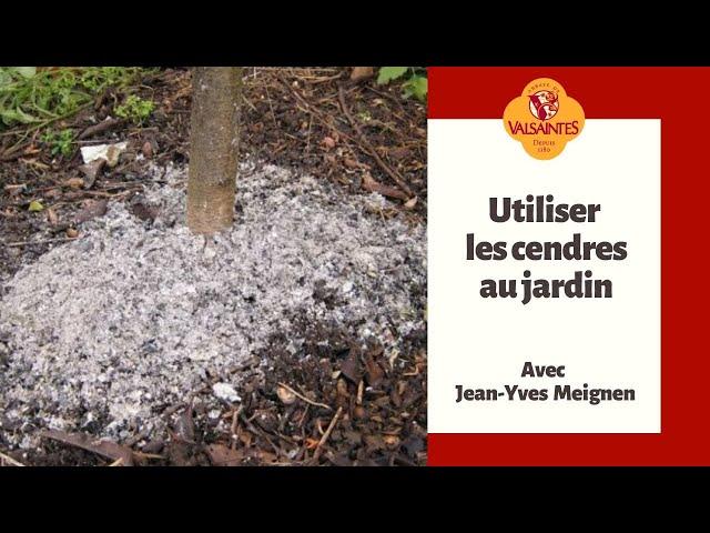 Utiliser les cendres au jardin