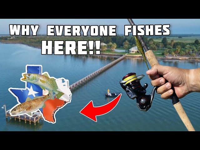 THIS Famous TEXAS Bay is Loaded with BIG Speckled Trout!!!