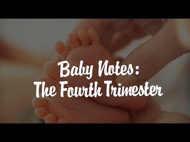 Baby Notes: The Fourth Trimester