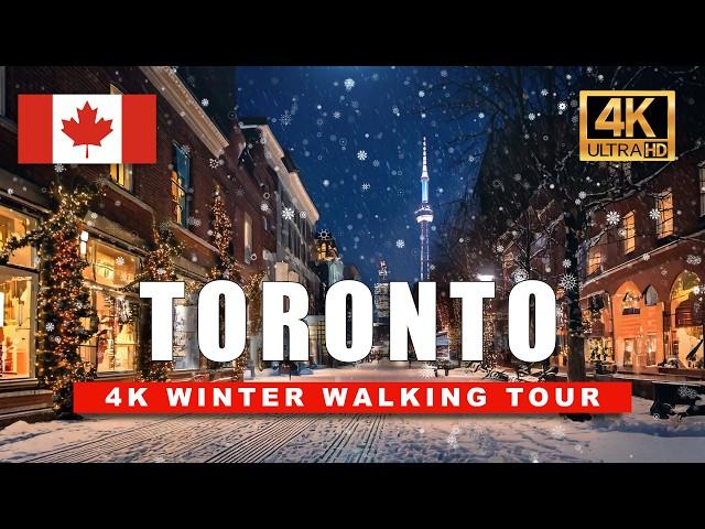 Toronto's Christmas Magic in the Snow | 4K HDR Winter Walk at 60fps