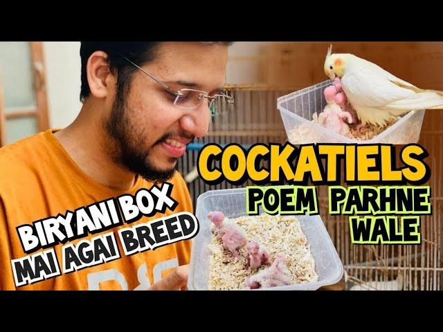 Cocktails Poem Parhny wale | Biryani Box mai agai Breed ️