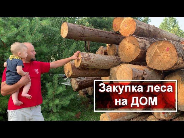 ЗАКУПКА ЛЕСА НА СТРОИТЕЛЬСТВО ДОМА | НАЧАЛО СТРОЙКИ | Польша