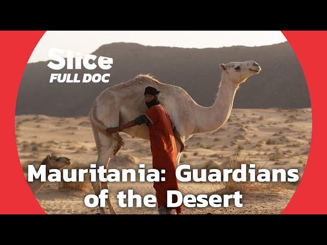 Enduring Traditions: Mauritania’s Desert Legacy | FULL DOCUMENTARY