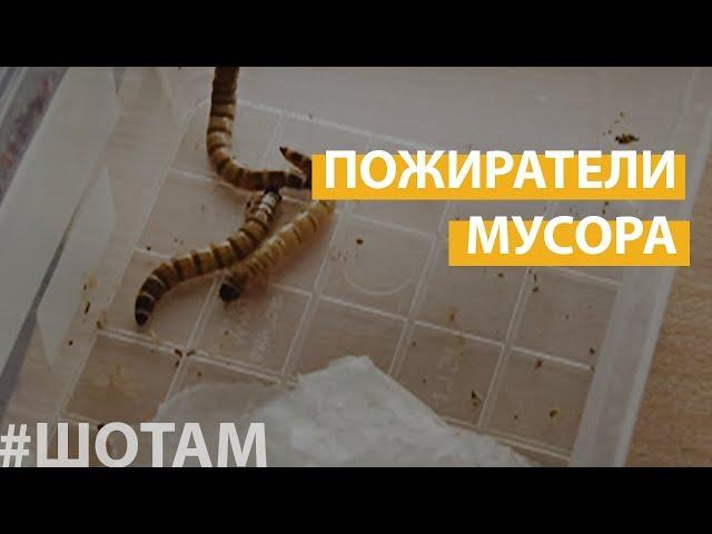 #ШоТам | Уникальное изобретение из Мариуполя