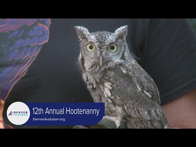 Denver Audubon Hootenanny - September 18, 2023