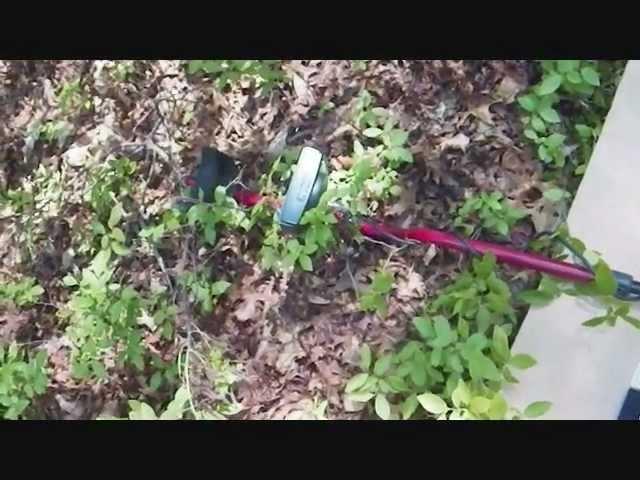 whites mxt pro vs minelab x terra 505