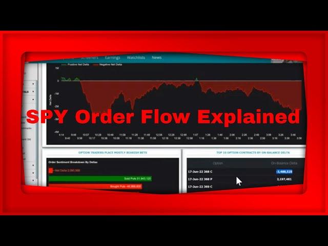 MarketChameleon.com Live Pre Market SPY Order Flow Explained