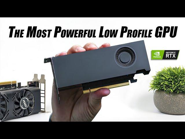 The Fastest Low Profile GPU With The Power You Need! RTX A2000 Hands-On