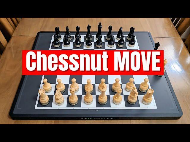 Chessnut MOVE Unboxing!