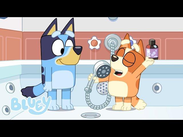 Relájese | Serie 3 | Bluey Español Canal Oficial