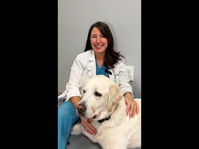 Massage your Dog with Dr. Leilani Alvarez