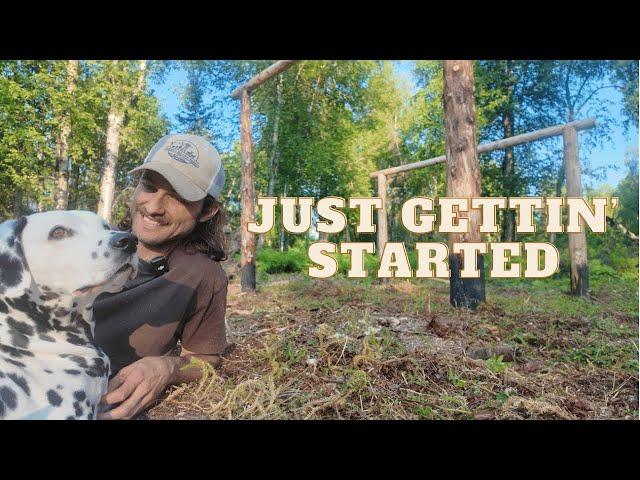 Using the Land to Build a Log Framed Firewood Shelter - Off Grid in Alaska┃EP5┃Just Gettin' Started