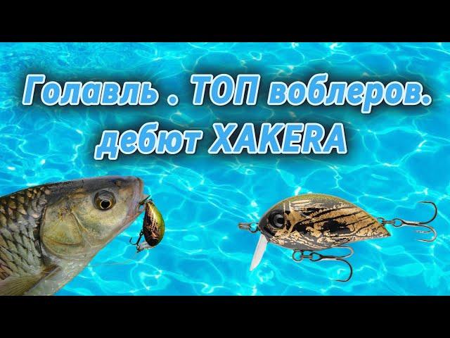 Голавль . Воблеры .Топ 2024.