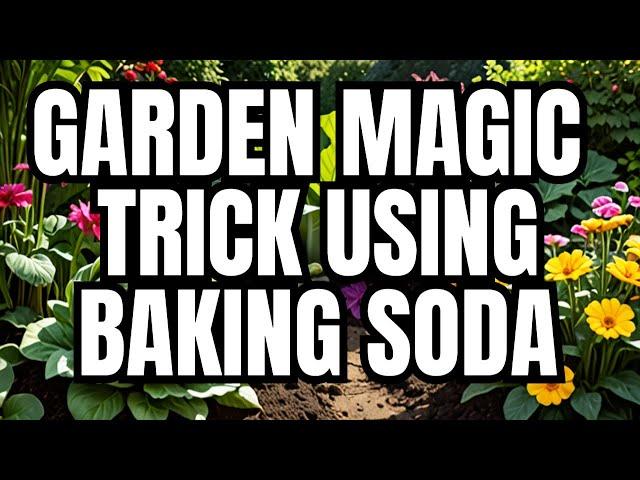 What Happens When You Add Baking Soda to Your Garden?