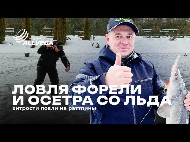 ФОРЕЛЬ И ОСЕТР ОБОЖАЮТ ЭТИ РАТТЛИНЫ