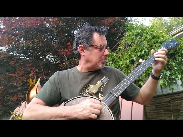 Clawhammer banjo on the ODE Magician 12"