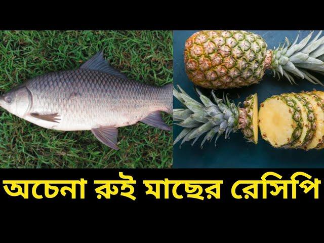 রুই মাছের নতুন এই রেসিপি একবার বাড়িতে ট্রাই করুন খেতে হবে অতুলনীয় |Rui macher recipe bengali style