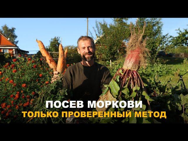 МОРКОВЬ ВЫРАСТЕТ КРУПНОЙ И ЗДОРОВОЙ БЕЗ ПРОБЛЕМ. Мой метод посева моркови.